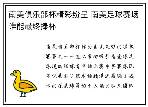 南美俱乐部杯精彩纷呈 南美足球赛场谁能最终捧杯