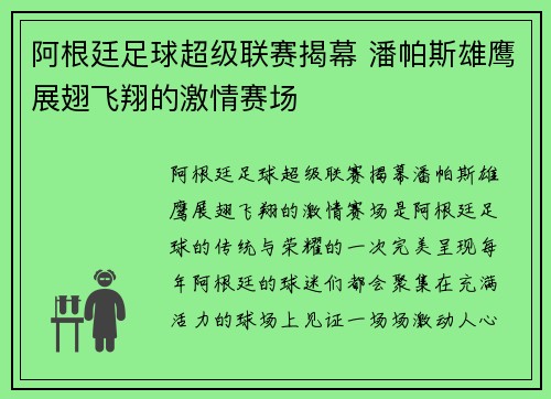 阿根廷足球超级联赛揭幕 潘帕斯雄鹰展翅飞翔的激情赛场